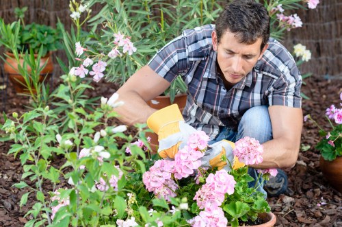 Lush green lawn being maintained by experts